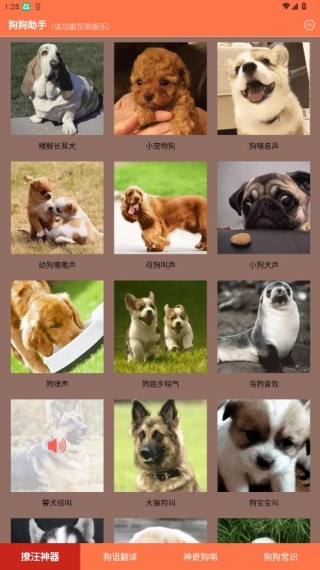 狗狗助手