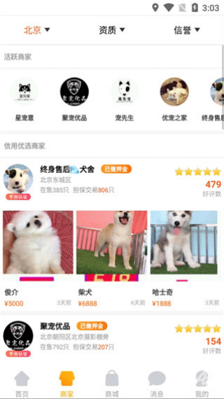 宠物市场