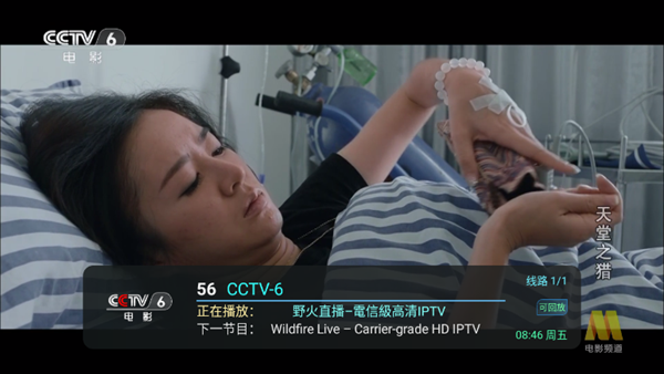 野火live截图2