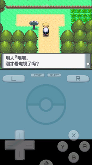 口袋妖怪钻石珍珠