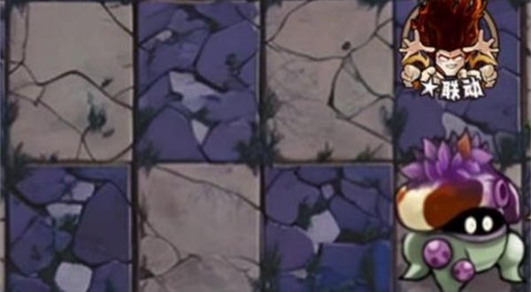 植物大战僵尸神奇植物版