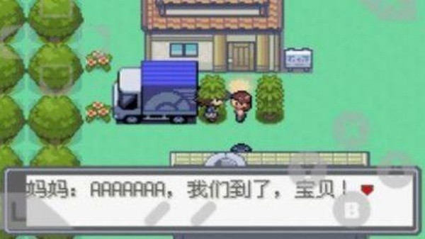 口袋妖怪绿宝石随机版截图0