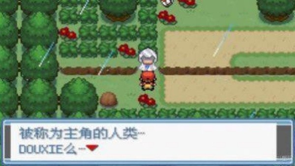 口袋妖怪绿宝石随机版截图1