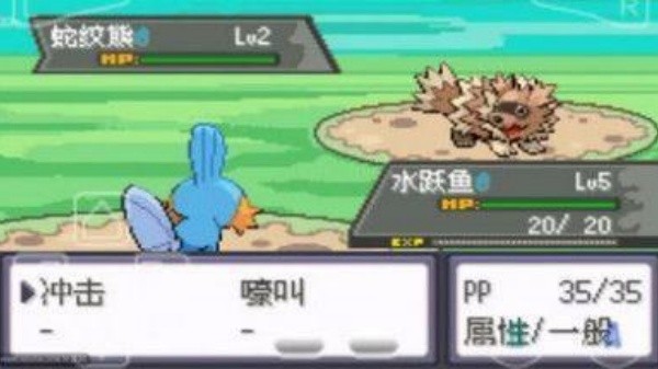 口袋妖怪绿宝石随机版截图2