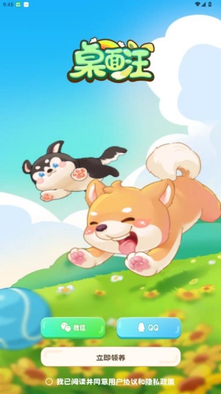 桌面汪