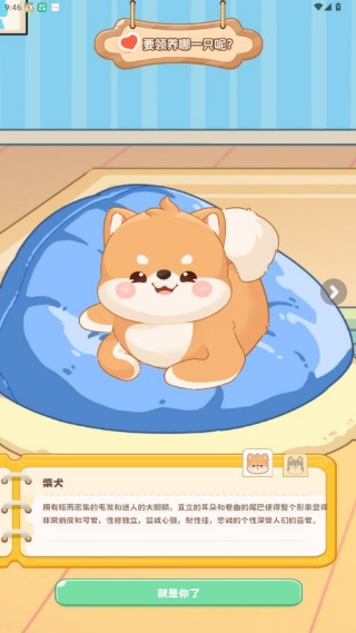 桌面汪