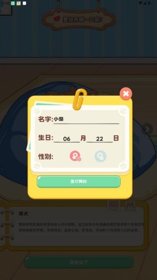 桌面汪