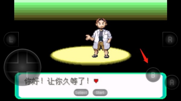 口袋妖怪绿宝石随机版