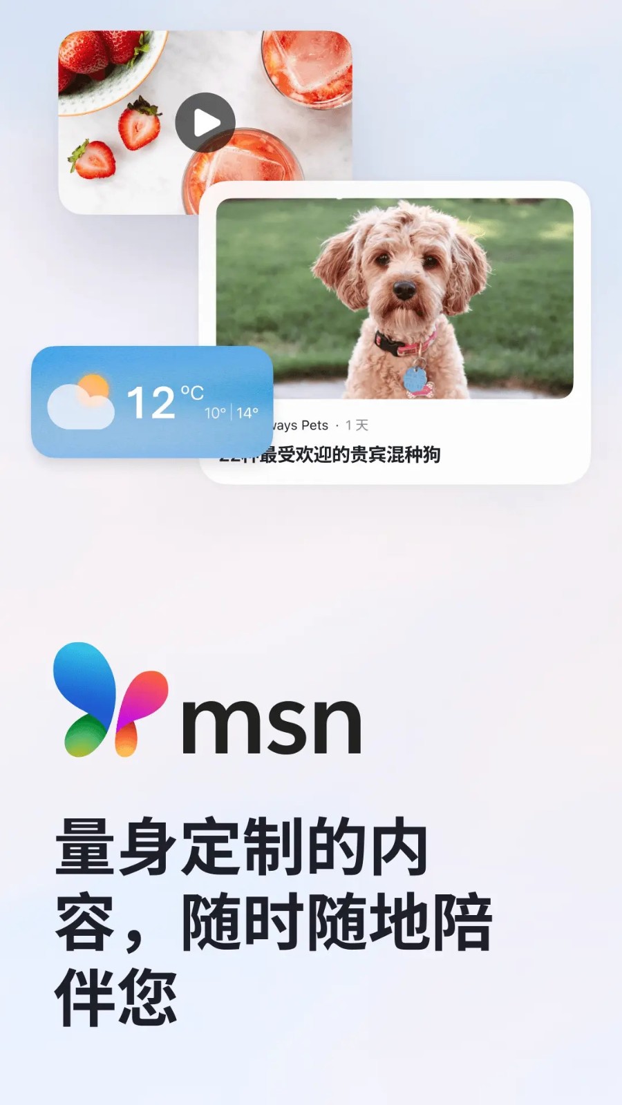 msn天气截图0