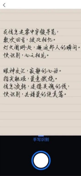 手写识别王