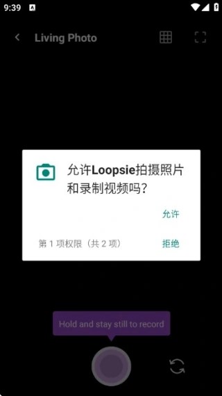 loopsie