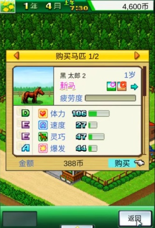 顶级跑马牧场