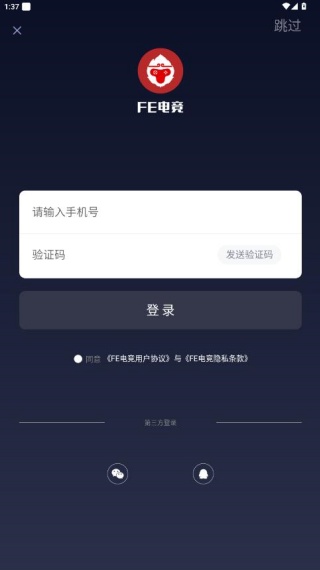 FE电竞