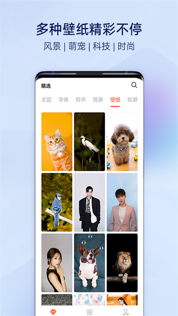 i主题12版本截图3