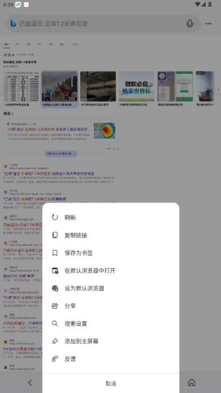 必应国内版