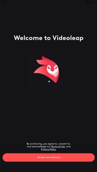 videoleap