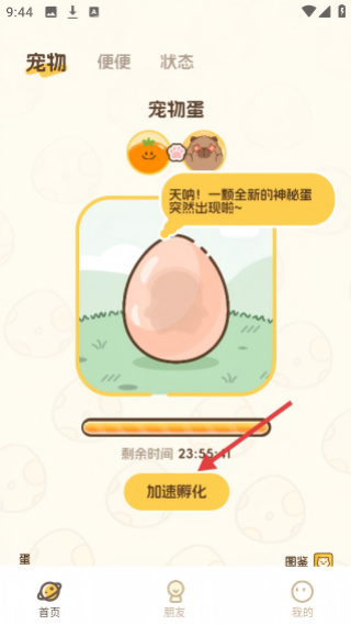 Waggy哇叽