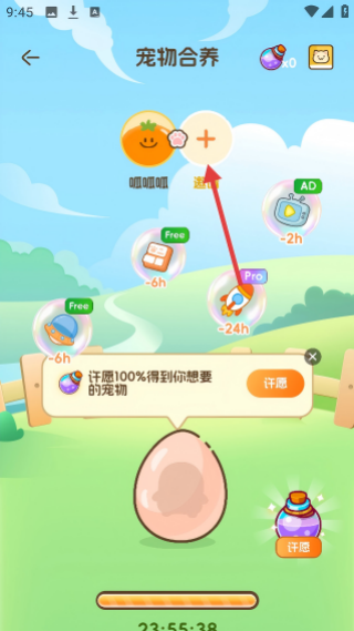 Waggy哇叽