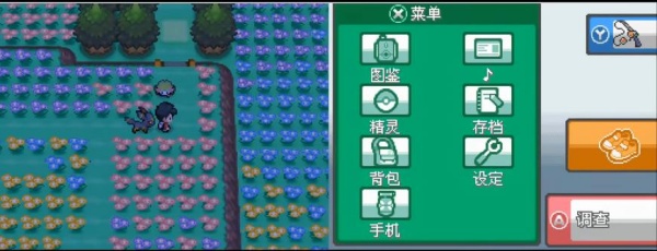 口袋妖怪绝对魂银