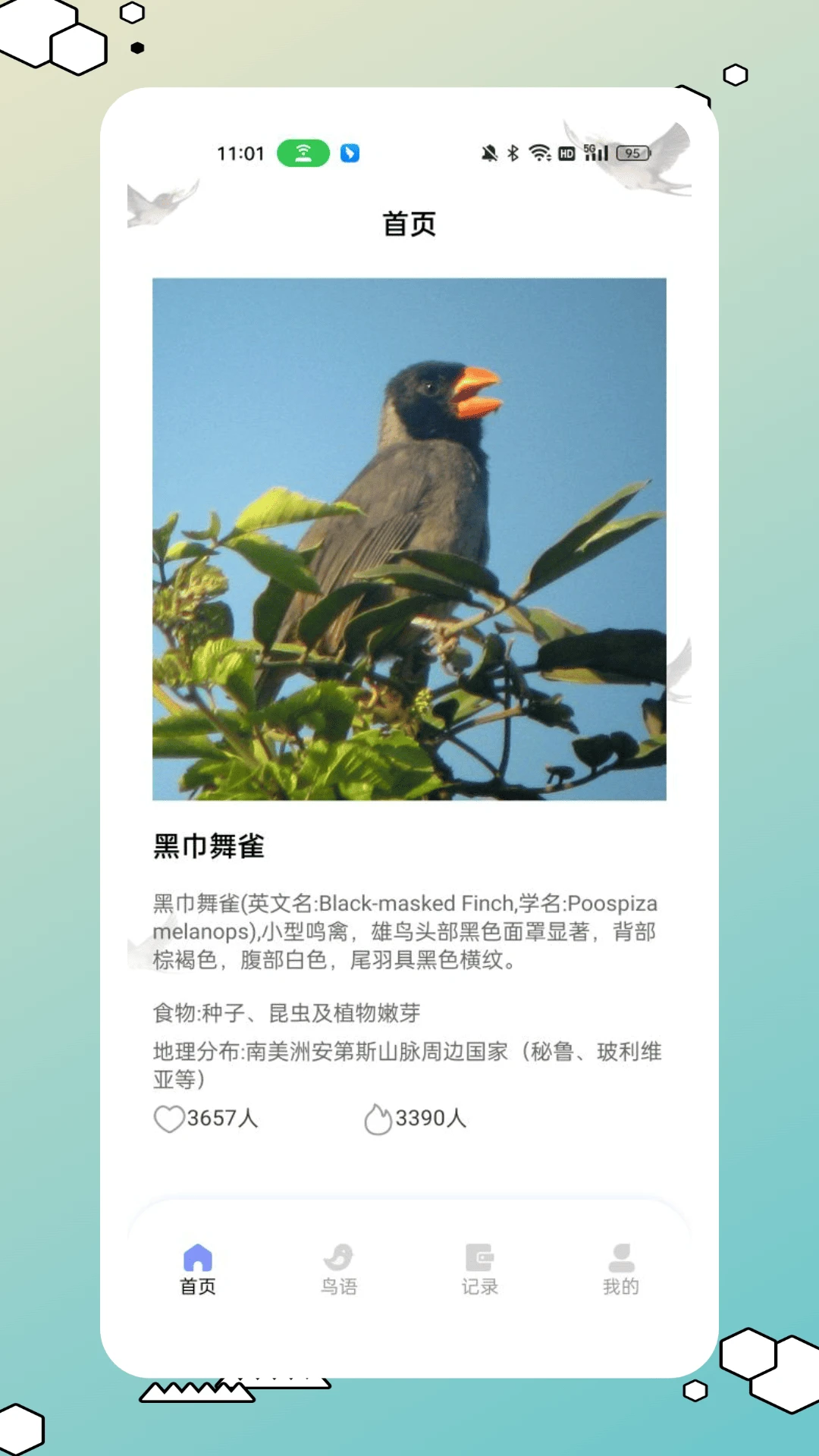 鸟类百科app截图4