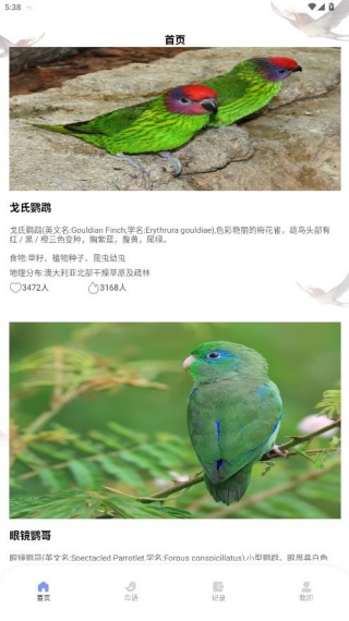 鸟类百科app