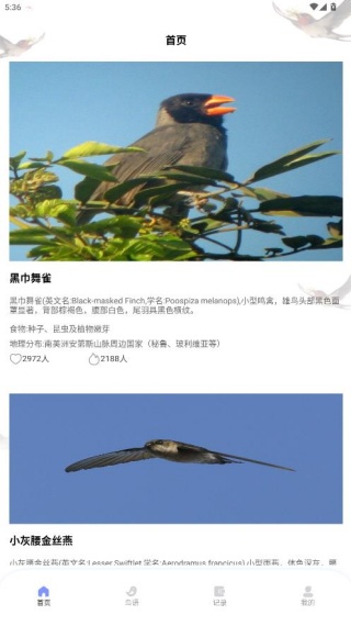 鸟类百科app
