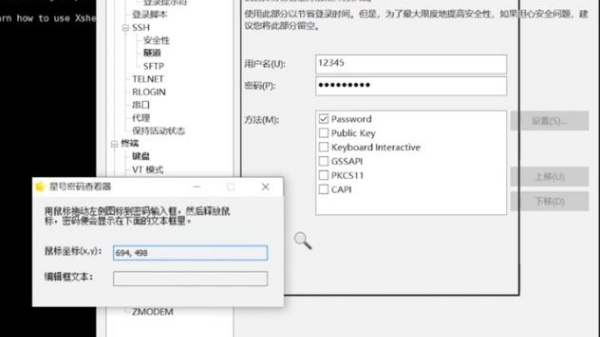 星号密码查看工具