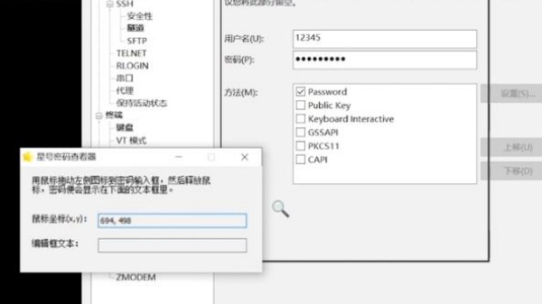 星号密码查看工具