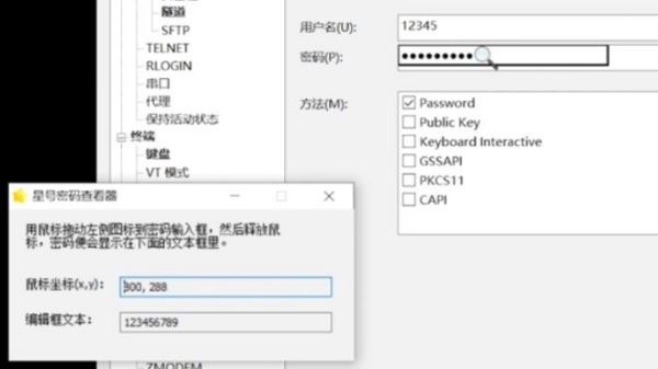 星号密码查看工具