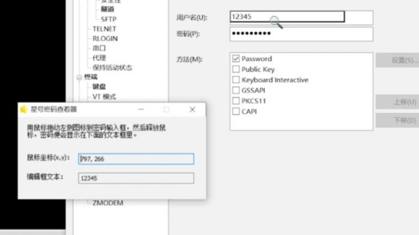 星号密码查看工具