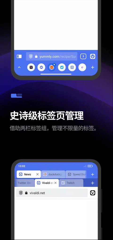 Vivaldi浏览器截图1