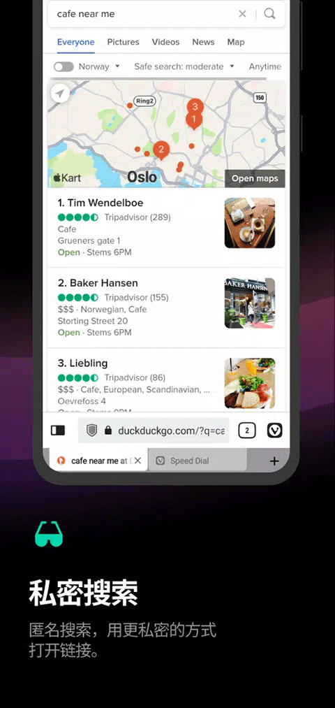 Vivaldi浏览器截图3