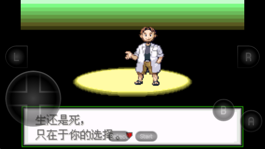口袋妖怪生与死截图0
