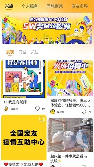 宠胖胖