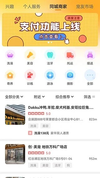 宠胖胖