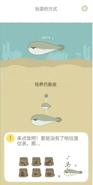 萨卡班甲鱼