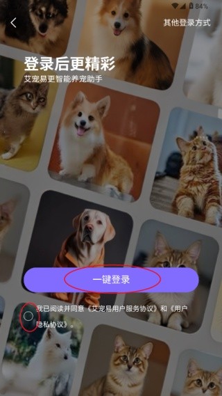 艾宠易