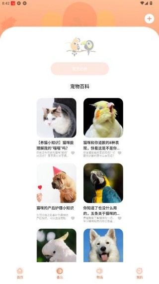 鹦鹉翻译器